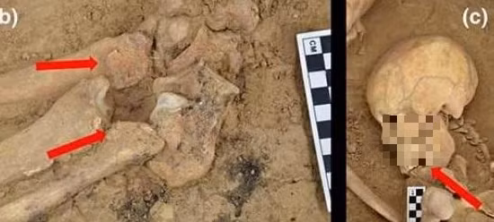 Chúng là những minh chứng đặc biệt về tình yêu và một góc nhìn đáng chú ý về quan niệm về tình yêu, sự sống, cái chết và thế giới bên kia trong các thời kỳ lịch sử và văn hóa khác nhau.