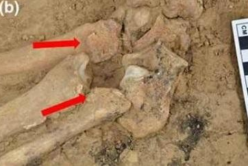 Cả hai khám phá này đều mang lại cái nhìn hiếm hoi về tình yêu và sự sống trong văn hóa cổ đại.