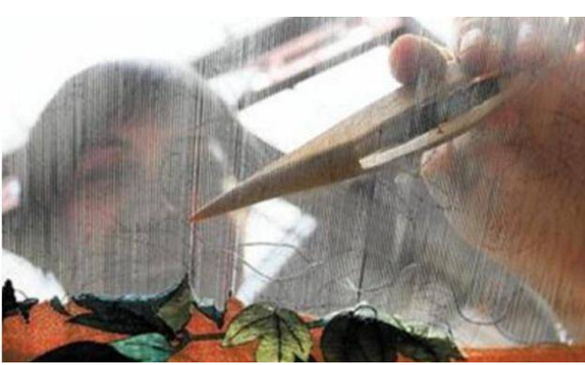 Những người trong phủ Cung Thân vương không biết giá trị thật của những bức họa này, nên họ coi chúng như đống rác vứt đi.