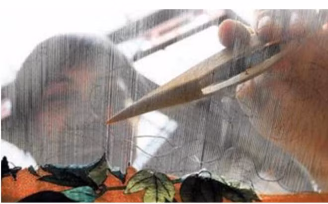 Những người trong phủ Cung Thân vương không biết giá trị thật của những bức họa này, nên họ coi chúng như đống rác vứt đi.