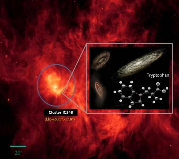 Các nhà thiên văn học đã phát hiện hàm lượng cao tryptophan trong khu vực hình thành sao, cách Trái Đất khoảng 1.000 năm ánh sáng.