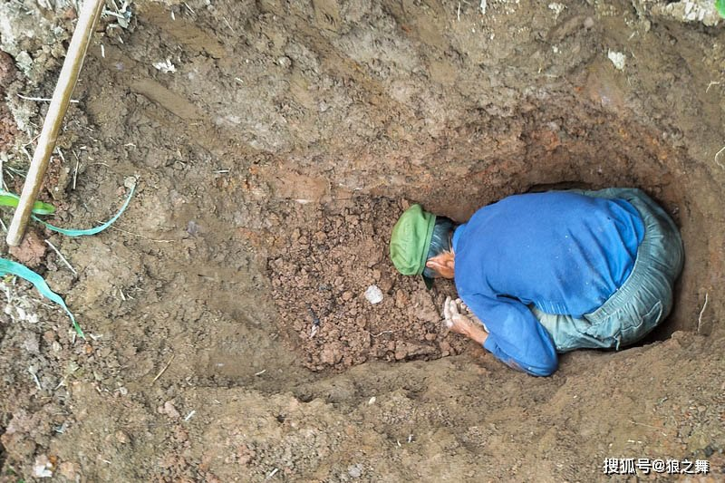 Sau khi phơi khô, loại nấm này có giá 280 tệ/lạng (tương đương 1 triệu VNĐ/lạng).