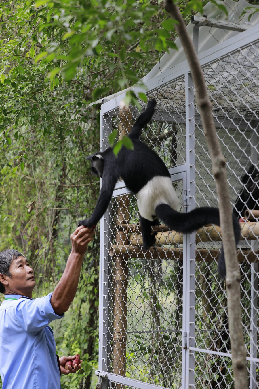 Tổ chức Bảo tồn thiên nhiên thế giới (IUCN) và các tổ chức quốc tế khác đã hỗ trợ trong việc bảo tồn voọc mông trắng và phát triển du lịch tại Vân Long và tỉnh Ninh Bình.