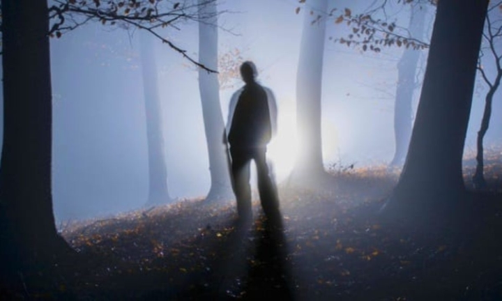 Một số người nghi ngờ rằng có một kẻ giết người hàng loạt đang hoạt động, nhưng không có bằng chứng để chứng minh điều này.