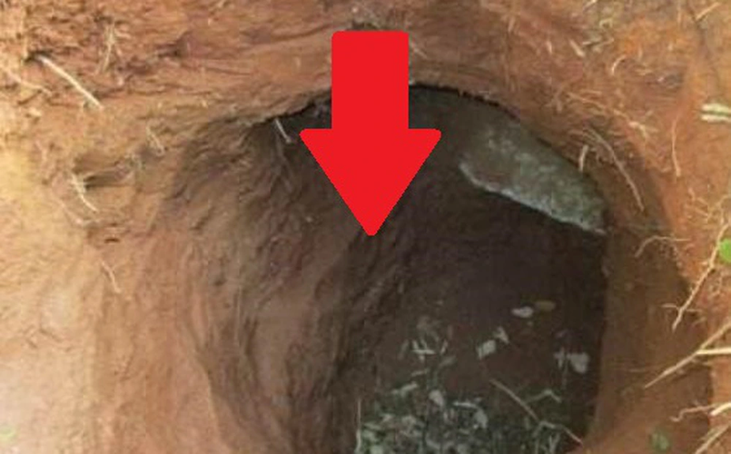 Tỉnh Hồ Bắc là trung tâm của văn hóa nước Sở và có nhiều di tích văn hóa lịch sử quan trọng, tạo nên một kho tàng văn hóa đa dạng và giá trị lịch sử đáng kể.