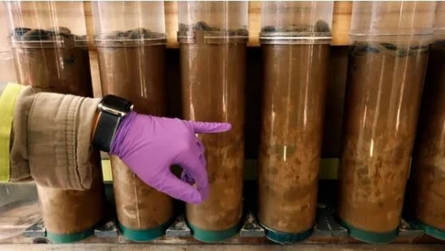 Để giảm thiểu nguồn gây ô nhiễm này và giữ cho Trái Đất không nóng lên quá mức, việc chuyển sang sử dụng các phương tiện chạy bằng điện là điều rất cần thiết.