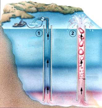 Sau sự kiện đó, một đường ống dẫn khí CO2 đã được lắp đặt dưới đáy hồ Nyos để giải phóng khí CO2 ra ngoài một cách an toàn.