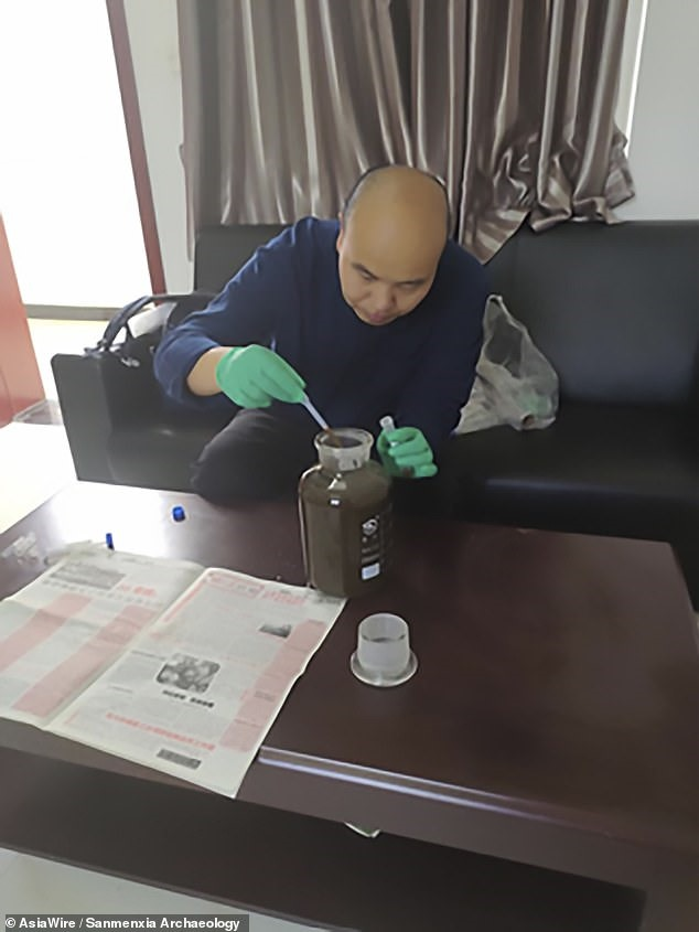 Nghiên cứu cho thấy chất lỏng này là một hỗn hợp được sử dụng để cầm máu và giảm viêm.