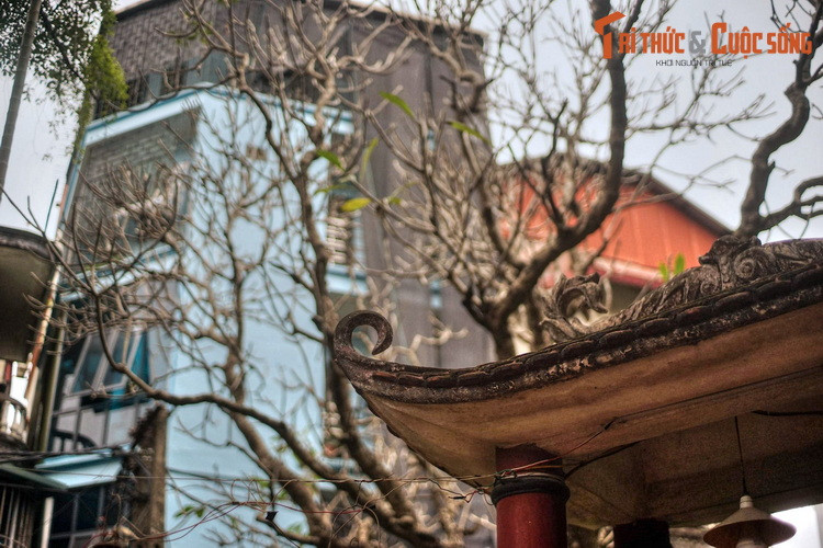 Với sự thông minh vốn có, Ngọc Hoa đã ghi nhớ vị trí những kho lương thực, vũ khí, đường đi lối lại… ở khu vực địch đóng quân, đồng thời ước lượng về sức mạnh của chúng.