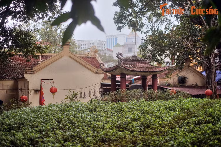 Đêm đó, bà mộng thấy một cụ già hiện lên trao cho hòn ngọc quý, khi tỉnh dậy thấy trong mình có sự khác lạ. Từ đó bà có thai, sau sinh hạ được một người con gái đặt tên là Ngọc Hoa. Càng lớn, cô bé càng xinh xắn, lanh lợi.