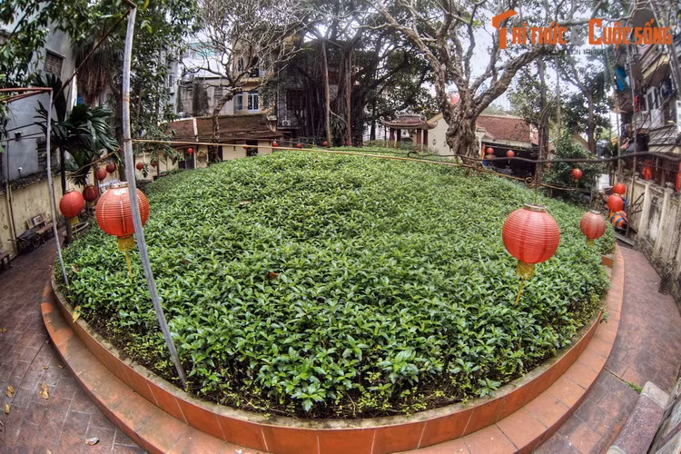 Bà Huấn làm nghề bán tôm, cá ở chợ An Bản. Có lần nhặt được tấm lụa rất đẹp của một người đi chợ bỏ quên, bà trả lại cho người đánh mất.