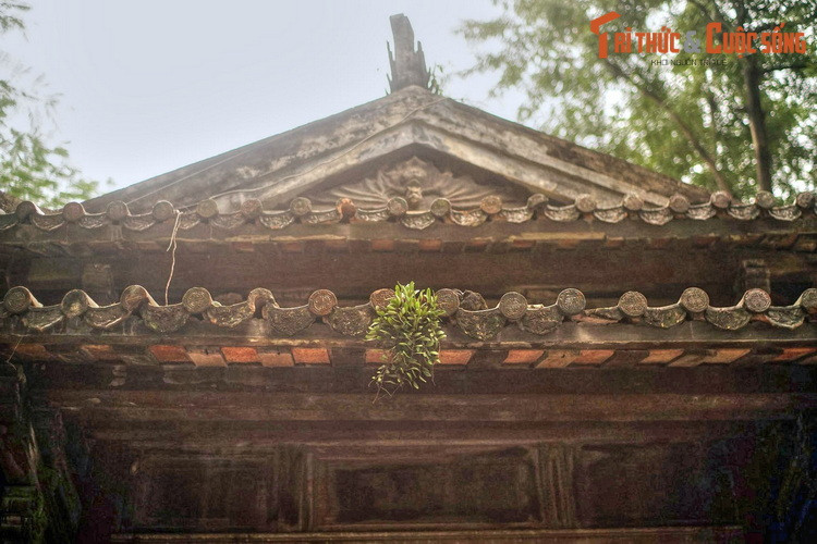 Với nhiều người Hà Nội, nhà bia cũ ở vườn hoa Lê Nin là nơi in dấu những kỷ niệm gắn mới một không gian xanh bên con đường đẹp bậc nhất thủ đô. Đây cũng là nơi tránh nắng mưa, chợp mắt của những người lao động trên đường phố Hà Nội trong suốt nhiều thập niên.