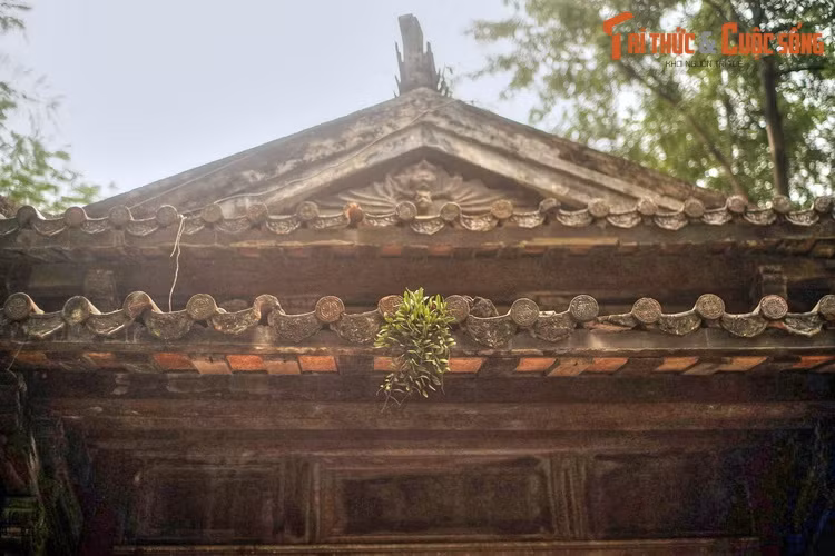 Với nhiều người Hà Nội, nhà bia cũ ở vườn hoa Lê Nin là nơi in dấu những kỷ niệm gắn mới một không gian xanh bên con đường đẹp bậc nhất thủ đô. Đây cũng là nơi tránh nắng mưa, chợp mắt của những người lao động trên đường phố Hà Nội trong suốt nhiều thập niên.