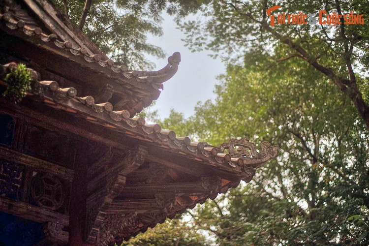 Một trong những việc đầu tiên bác sĩ Trần Văn Lai làm trên cương vị Thị trưởng là cho kéo đổ tất cả các tượng mang dấu ấn thực dân ở nơi công cộng. Tượng đài Canh Nông cũng bị kéo đổ. Vườn hoa Robin được đổi tên thành vườn hoa Chi Lăng.