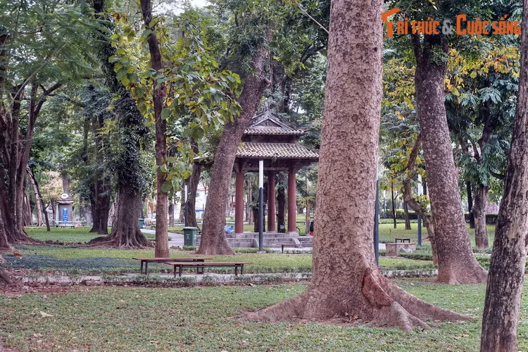 Sau Thế chiến I, người Pháp xây Đài Tử sĩ (Monument aux Morts) ở giữa vườn hoa Robin, nhằm tưởng niệm binh sĩ Pháp chết trận trong cuộc chiến, được coi là tượng đài bề thế và tinh xảo bậc nhất của Hà Nội thời thuộc địa.