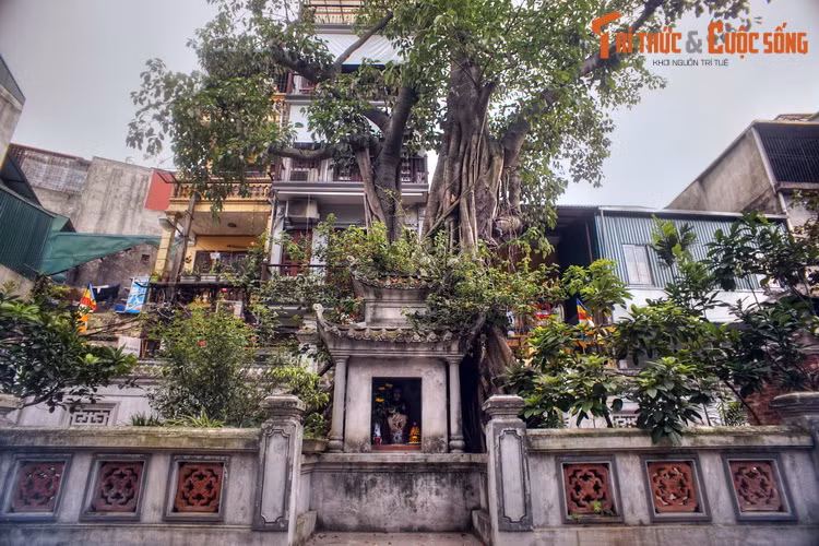 Vì vậy mà ngoài quán Huyền Thiên còn nhiều nơi khác ở Thăng Long thờ Huyền Thiên Trấn Vũ, như đền Quán Thánh, đình Đông Thành...