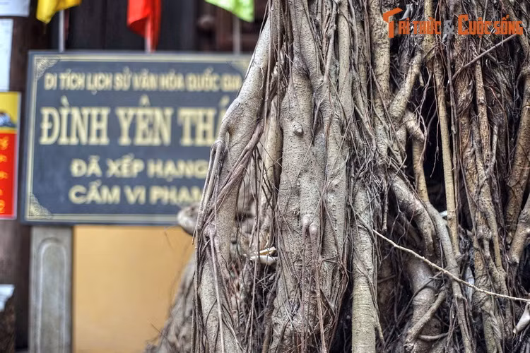 Vào năm 1995, đình Yên Thái đã được công nhận là Di tích lịch sử văn hóa cấp quốc gia của Việt Nam.