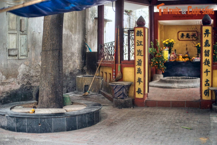 Trước kia bên giếng có một gốc hoa sữa cổ thụ rất lớn, được cho là gắn liền với sự nhiệm màu của tục xin sữa. Cây già cỗi và chết đi, người làng đã trồng một cây hoa sữa mới để thay thế.