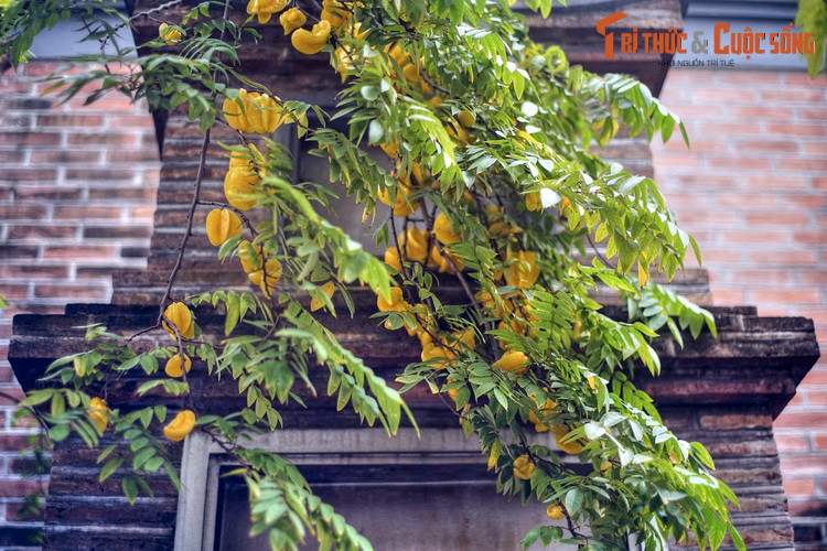 Chùa Bà Đá đã được công nhận là Di tích lịch sử - kiến trúc cấp quốc gia của Việt Nam.