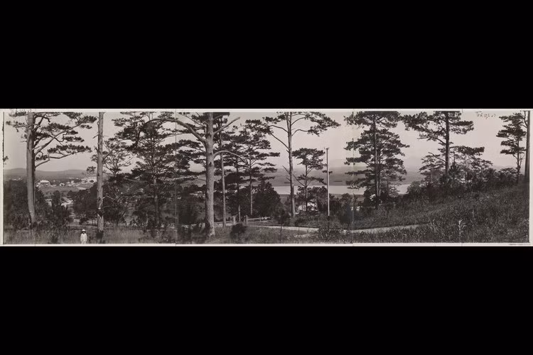 Đà Lạt nhìn từ phía Nam hồ Xuân Hương.