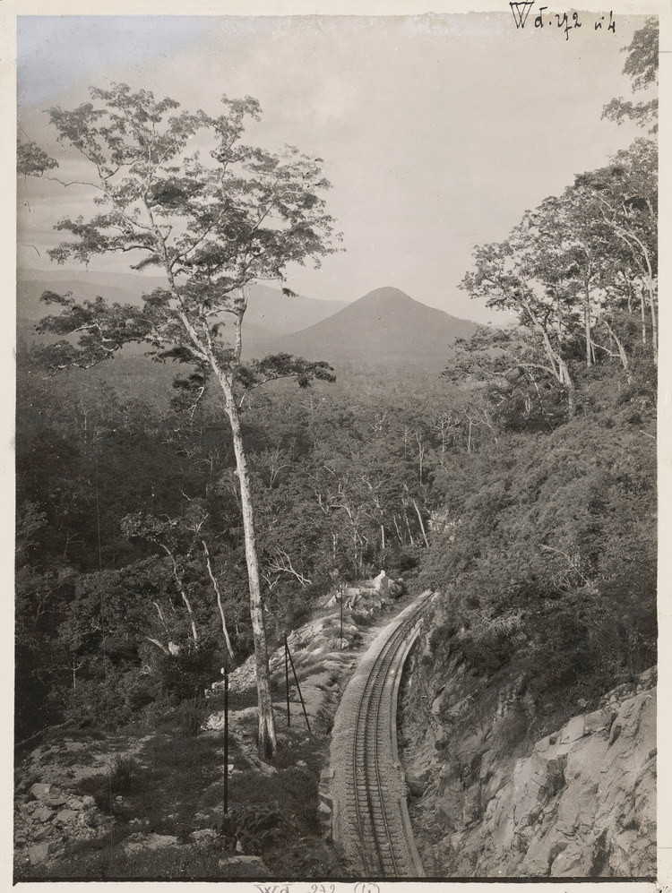 Một hình ảnh khác về đường sắt răng cưa Krong Pha - Bellevue. "Răng cưa" là phần sẫm màu nằm giữa hai hàng thanh ray.