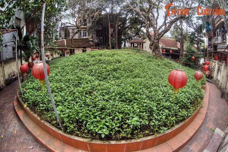 Bà Huấn làm nghề bán tôm, cá ở chợ An Bản. Có lần nhặt được tấm lụa rất đẹp của một người đi chợ bỏ quên, bà trả lại cho người đánh mất.