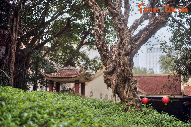 Trên đường khải hoàn, Ngọc Hoa không bệnh mà mất. Thái úy lệnh cho tướng quân Trần Ngọc Tường đưa thi hài cô bé về an táng tại làng Đại Bi.