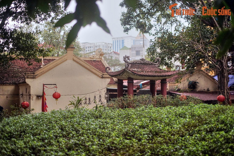 Đêm đó, bà mộng thấy một cụ già hiện lên trao cho hòn ngọc quý, khi tỉnh dậy thấy trong mình có sự khác lạ. Từ đó bà có thai, sau sinh hạ được một người con gái đặt tên là Ngọc Hoa. Càng lớn, cô bé càng xinh xắn, lanh lợi.