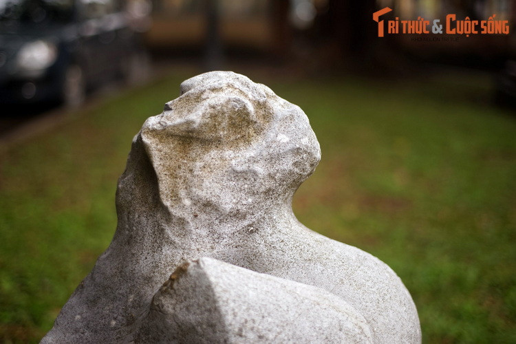 Chu Tước thường bị nhầm lẫn với Phượng Hoàng, một linh vật có phần nổi tiếng hơn, do ngoại hình giống nhau. Nhưng đây là hai linh vật khác biệt và không có mối liên hệ với nhau.