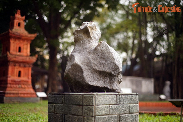 Theo thiên văn truyền thống phương Đông, Chu Tước ứng với một cung gồm 7 chòm sao phương Nam trong Nhị thập bát tú, đó là sao Tỉnh, sao Quỷ, sao Liễu, sao Tinh, sao Trương, sao Dực và sao Chẩn.