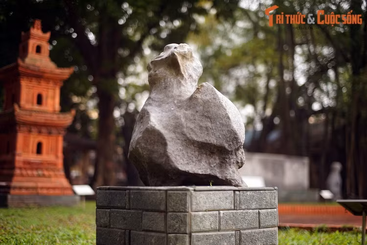 Theo thiên văn truyền thống phương Đông, Chu Tước ứng với một cung gồm 7 chòm sao phương Nam trong Nhị thập bát tú, đó là sao Tỉnh, sao Quỷ, sao Liễu, sao Tinh, sao Trương, sao Dực và sao Chẩn.