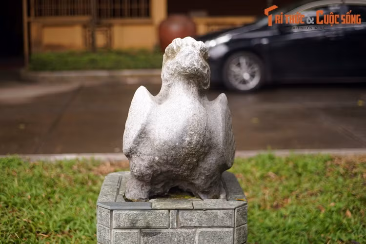 Theo quan niệm tâm linh phương Đông, linh vật Chu Tước là một con chim mang màu đỏ, màu của hành Hỏa. Vì vậy, Chu Tước đại diện cho yếu tố Hỏa, hướng Nam và mùa hạ.