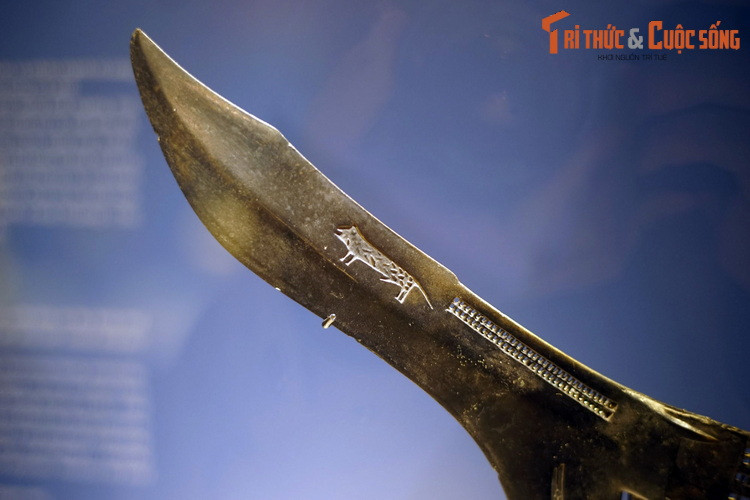 Một chiếc qua đồng Đông Sơn có niên đại 2.000-2.500 năm, cả hai mặt trang trí hình hổ trên với vằn trên thân và nhấn mạnh vào tính đực. Qua là loại binh khí cổ có dạng lưỡi ngang, mũi nhọn, cán gỗ, dùng để đâm, móc.