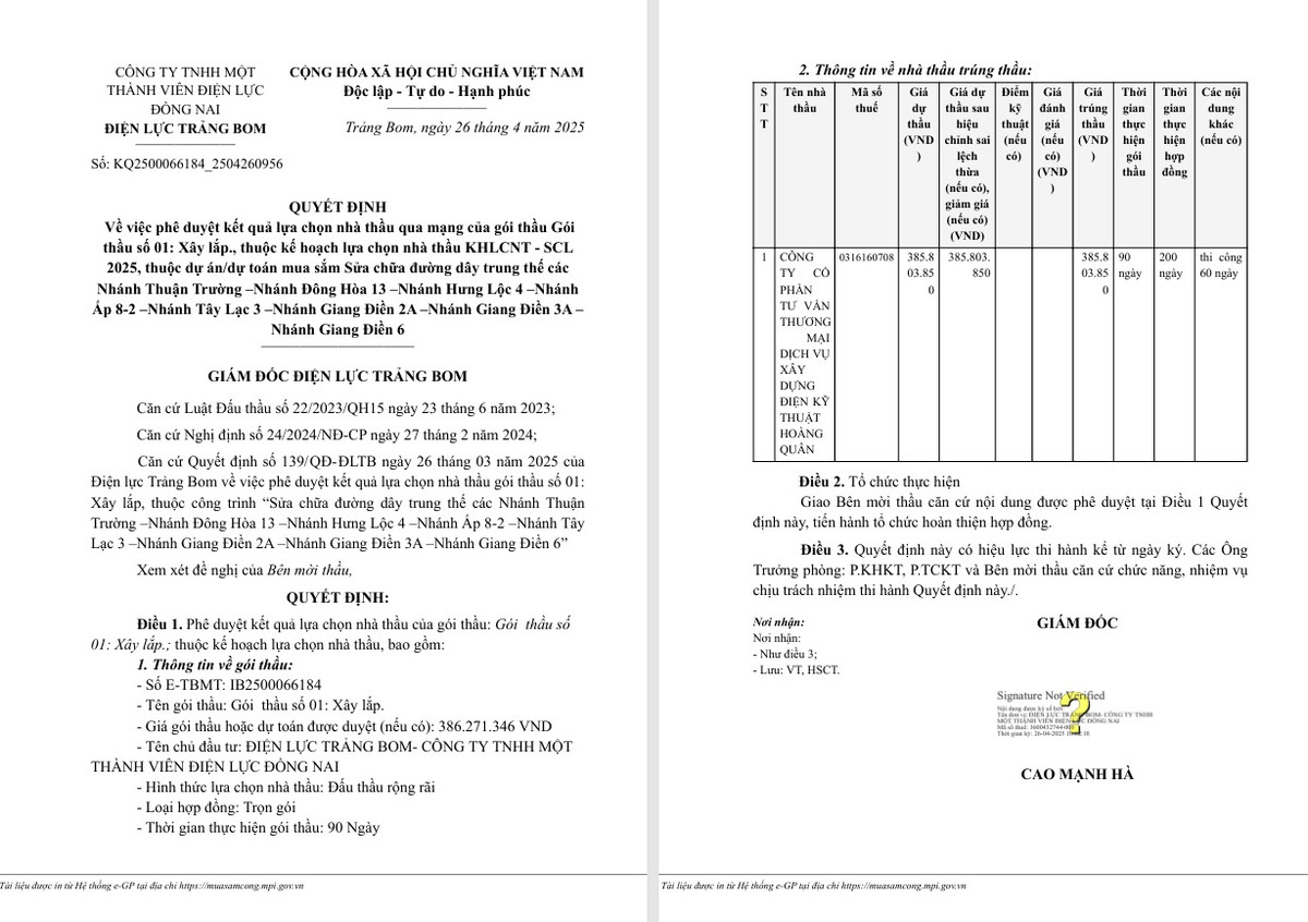 Năng lực nhà thầu một ngày trúng 3 gói tại Điện lực Trảng Bom - Hình 3 Nang luc nha thau mot ngay trung 3 goi tai Dien luc Trang Bom-Hinh-3