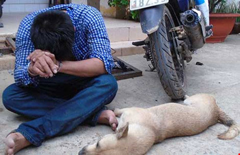 Một đối tượng trộm chó bị bắt tại thị xã Thuận An, Bình Dương. Ảnh: M.DUY