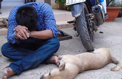 Một đối tượng trộm chó bị bắt tại thị xã Thuận An, Bình Dương. Ảnh: M.DUY