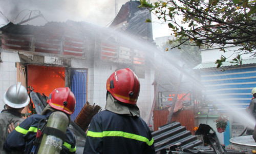 Sang som mung 1 Tet, hoa hoan kinh hoang o TP HCM-Hinh-3