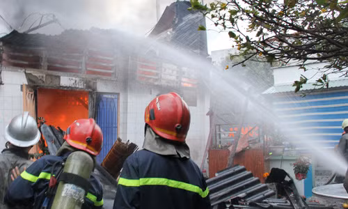 Sang som mung 1 Tet, hoa hoan kinh hoang o TP HCM-Hinh-3