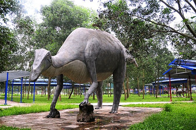 Ngoài vườn quái thú, tại khu du lịch Đảo Ngọc Xanh còn có công viên khủng long với nhiều loài khủng long được dựng lại với kích thước giống như thật, rất to lớn.