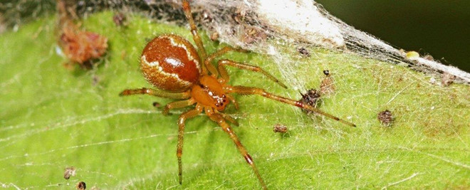 Nhen ngay cang hung du hon vi bien doi khi hau