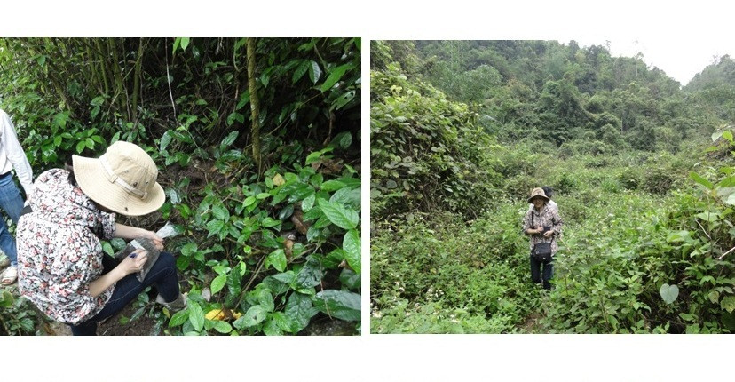 Nha khoa hoc nu VN co cong trinh dang tren tap chi khoa hoc uy tin TG-Hinh-5