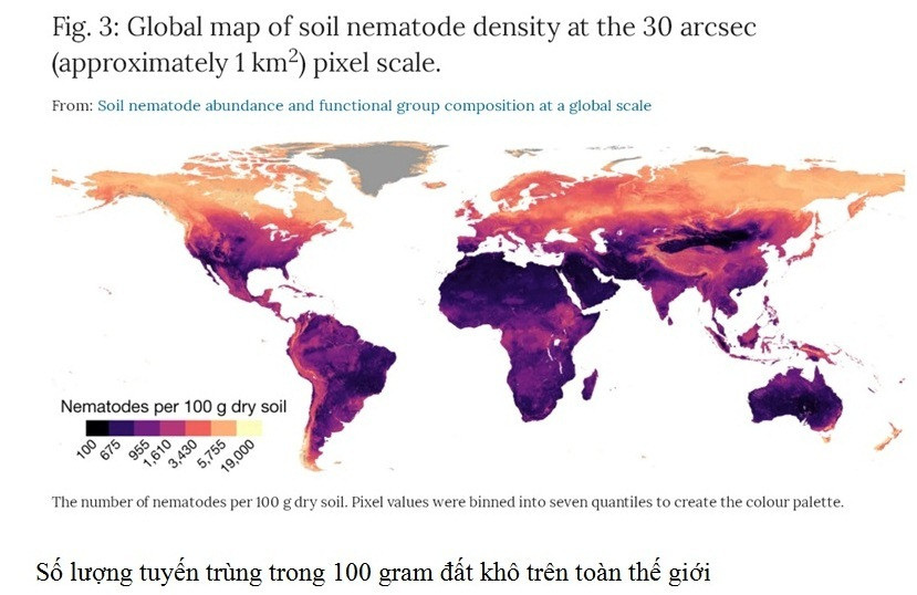 Nha khoa hoc nu VN co cong trinh dang tren tap chi khoa hoc uy tin TG-Hinh-4