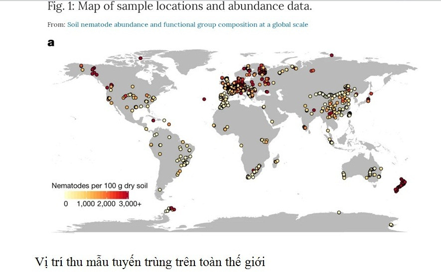 Nha khoa hoc nu VN co cong trinh dang tren tap chi khoa hoc uy tin TG-Hinh-3
