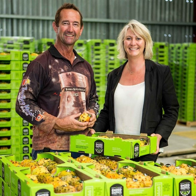 Hiện, một số nơi đã tự trồng được loại dưa này để bán ra thị trường.