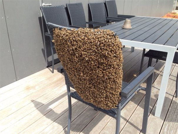 Chiếc ghế dành cho những người dũng cảm.