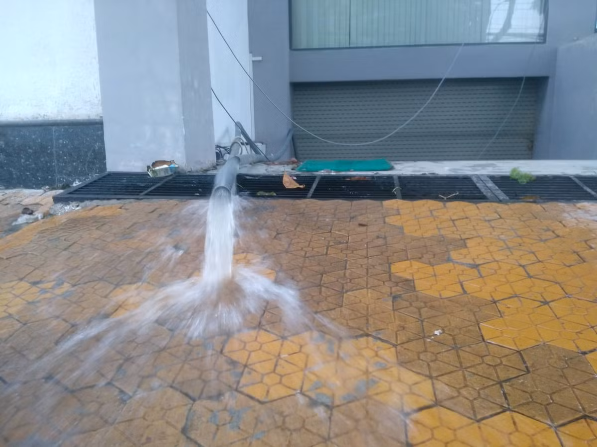 TP.HCM: Dan bat luc nhin tai san ngap trong bien nuoc-Hinh-11