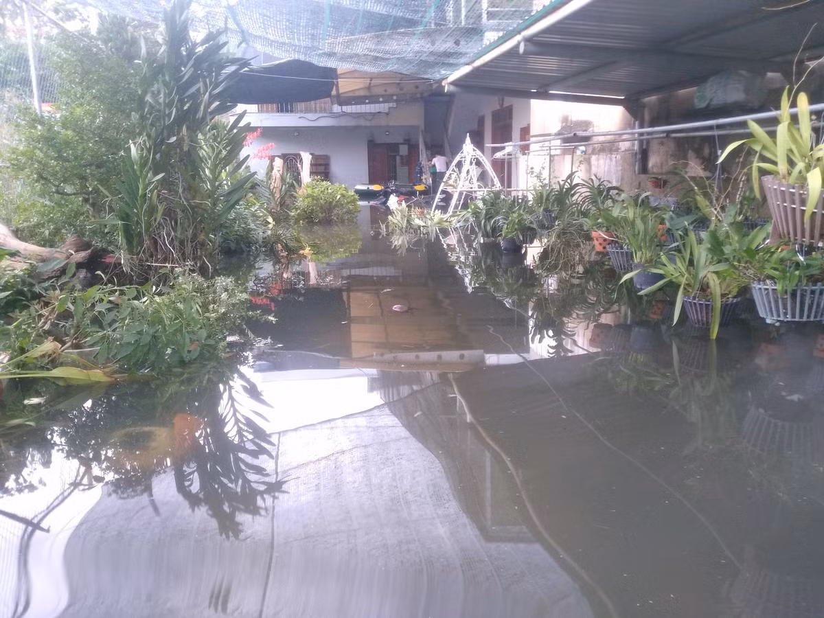 TP.HCM: Dan bat luc nhin tai san ngap trong bien nuoc-Hinh-5