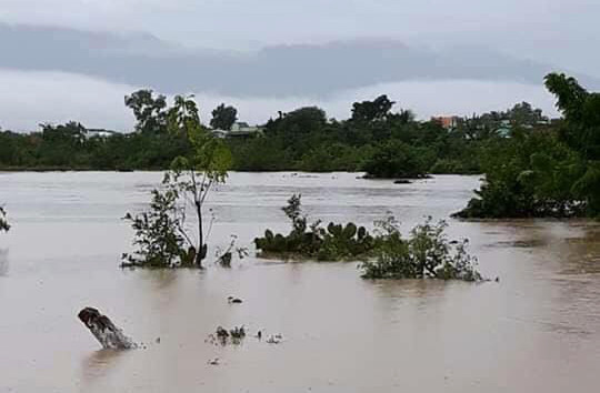 Ngày 18/11, Đài Khí tượng Thủy văn tỉnh Ninh Thuận, cho biết trong 30 giờ qua khu vực tỉnh Ninh Thuận đã có mưa to đến rất to và dông.