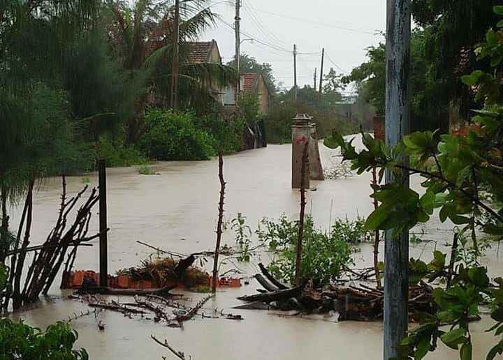 ... gây ngập úng nhiều diện tích hoa màu của người dân địa phương.