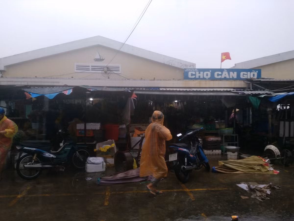 Mặc dù sáng nay thời tiết huyện Cần Giờ, TP HCM rất xấu do ảnh hưởng của cơn bão số 9, thế nhưng nhiều người dân nơi đây vẫn hồn nhiên, xem nhẹ tính mạng trước sức mạnh của cơn bão dữ.